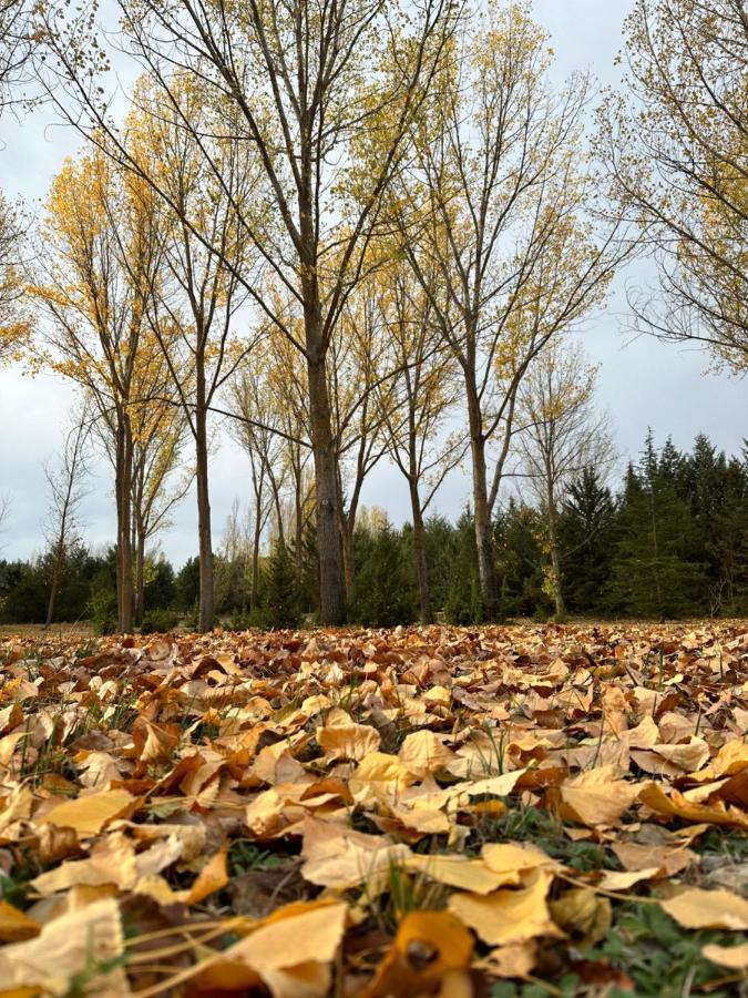 Finca Paraiso Rural El Burgo De Osma Eksteriør billede