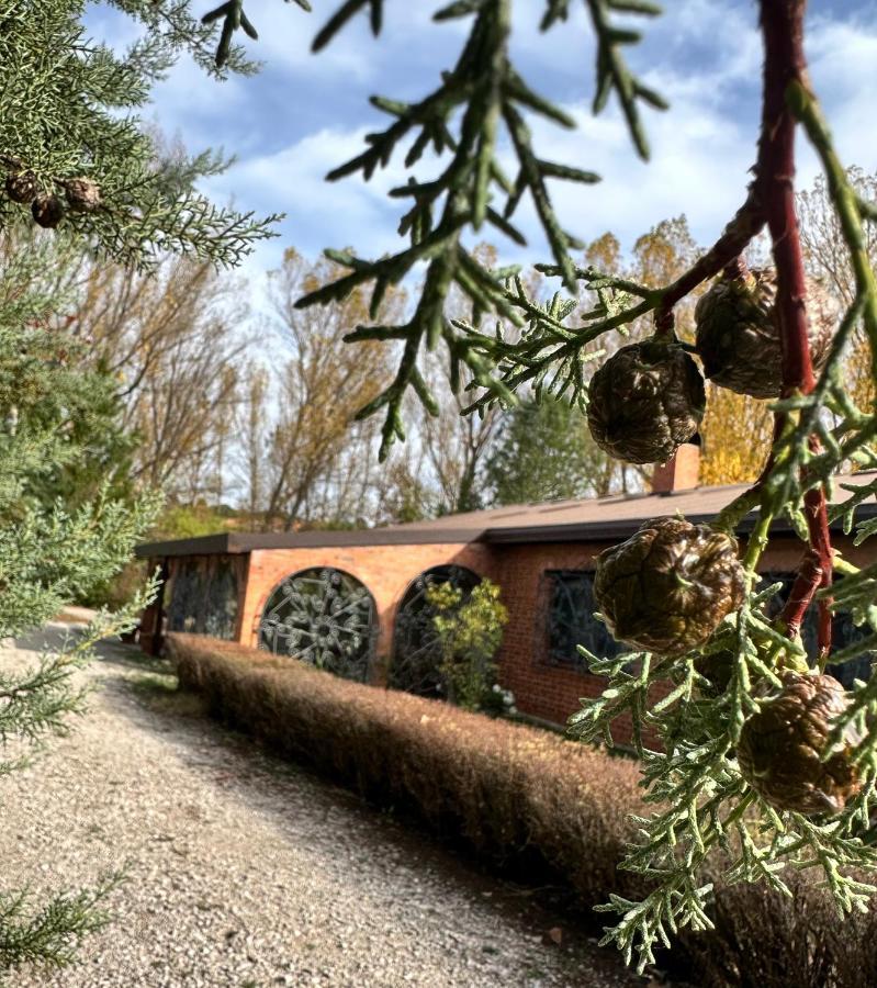 Finca Paraiso Rural El Burgo De Osma Eksteriør billede