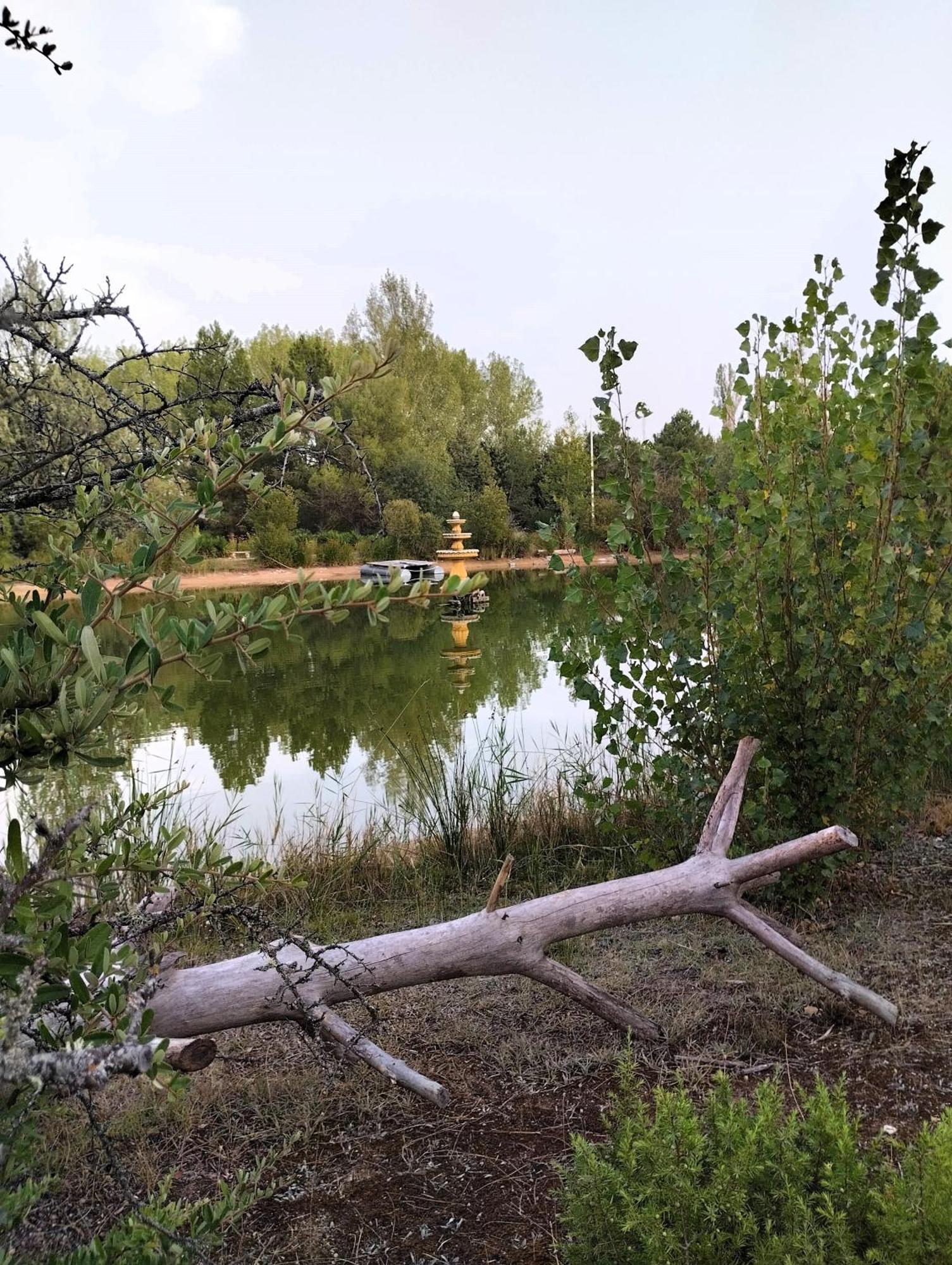 Finca Paraiso Rural El Burgo De Osma Eksteriør billede