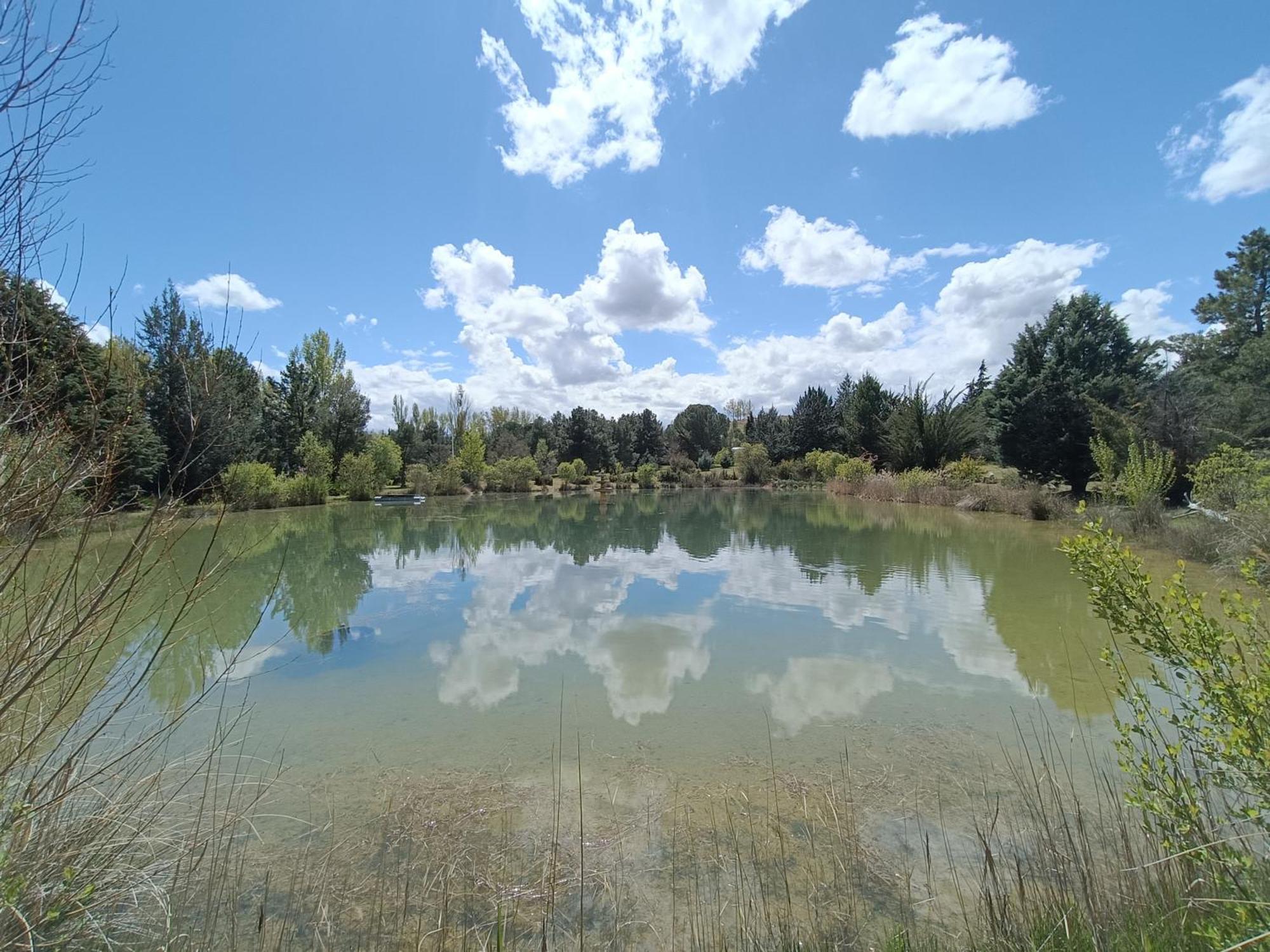 Finca Paraiso Rural El Burgo De Osma Eksteriør billede