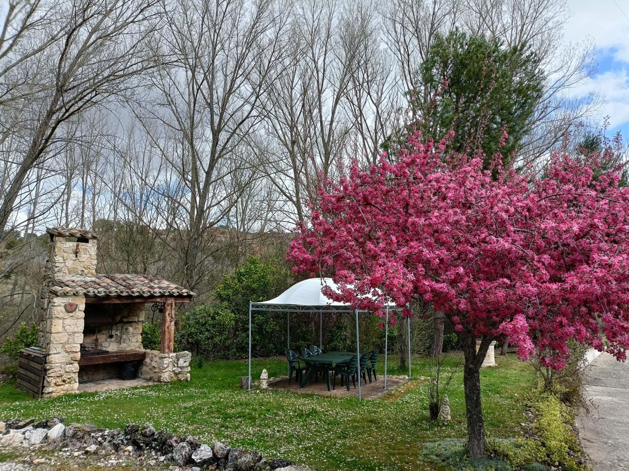 Finca Paraiso Rural El Burgo De Osma Eksteriør billede